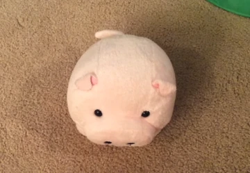 360?cb=20170810224318