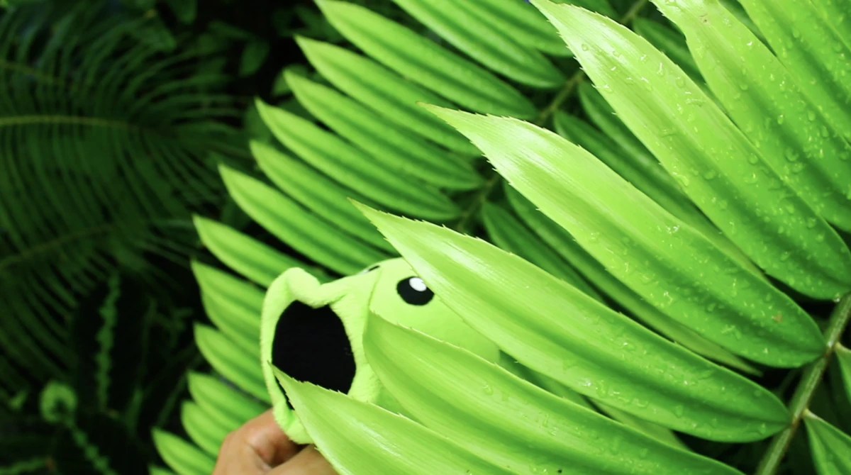 Peashooter Luigifan00001 Wikia Fandom