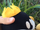 King Bob-omb