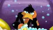 Danger Duck being sassy for 50 minutes straight 20210109-12264674.jpg (105 KB)