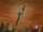 The Loonatics Tower