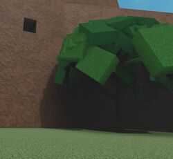 Safari Hole.jpg
