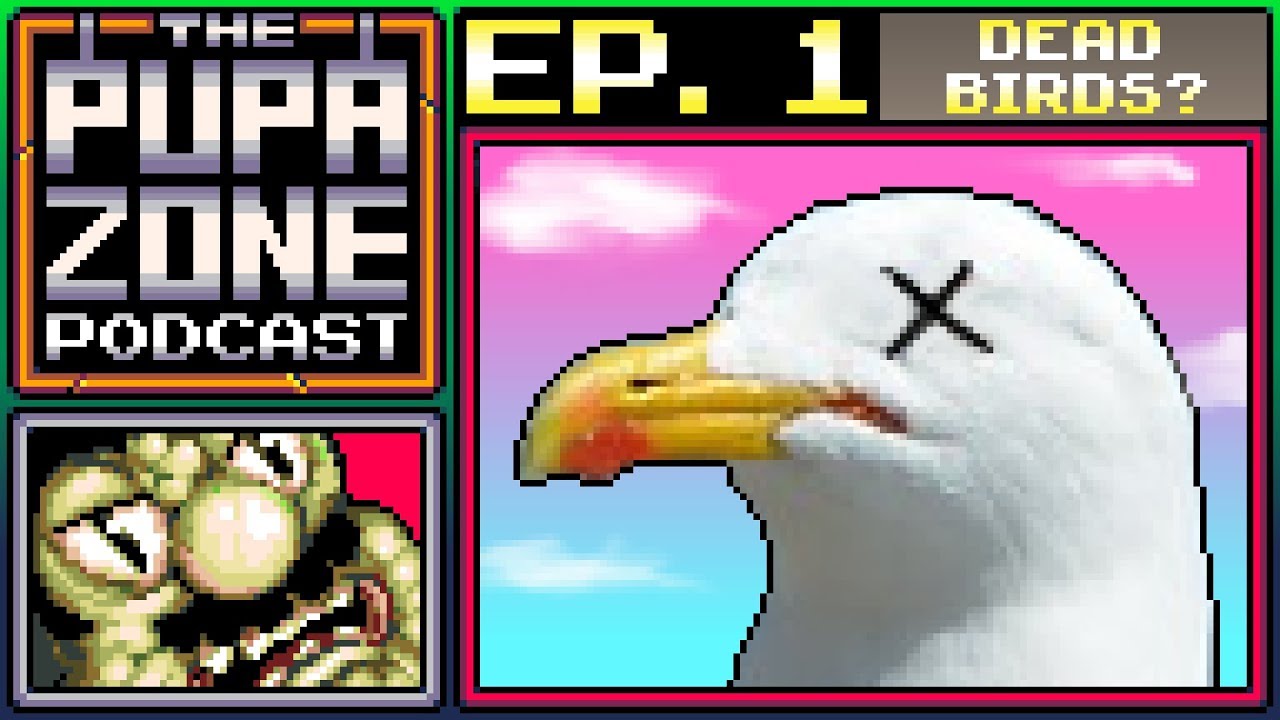 All shop birds podcast