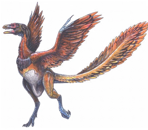 Archaeopteryx Wiki Luna Pro Wrestling Fandom