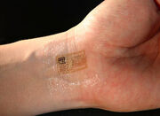Identification Chip