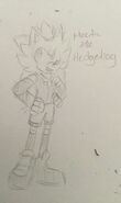 A sketch of Hectic The Hedgehog (Done by Mighty The Armadillo on SA)