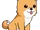 Shiba Inukun