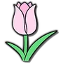 Tulip