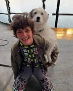 Murphy Weed, actrice pour le motion capture de Krypto