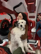 Krypto et Lane