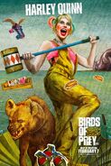 BirdsofPreys Poster Harley