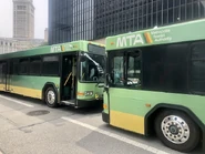 Bus de la MTA