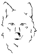 Wolf Studio logo