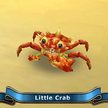 Little crab