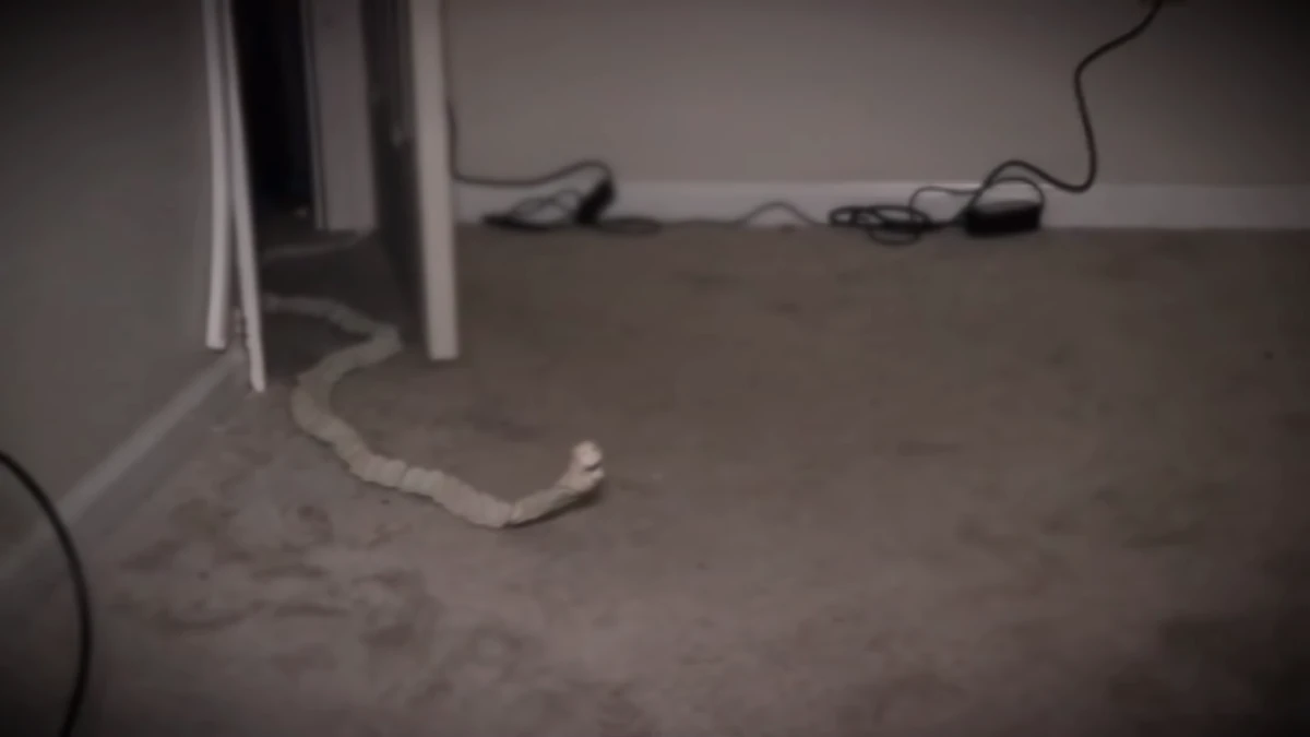 Bed Worm Life of luxury Wiki Fandom