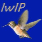 Wiki.png