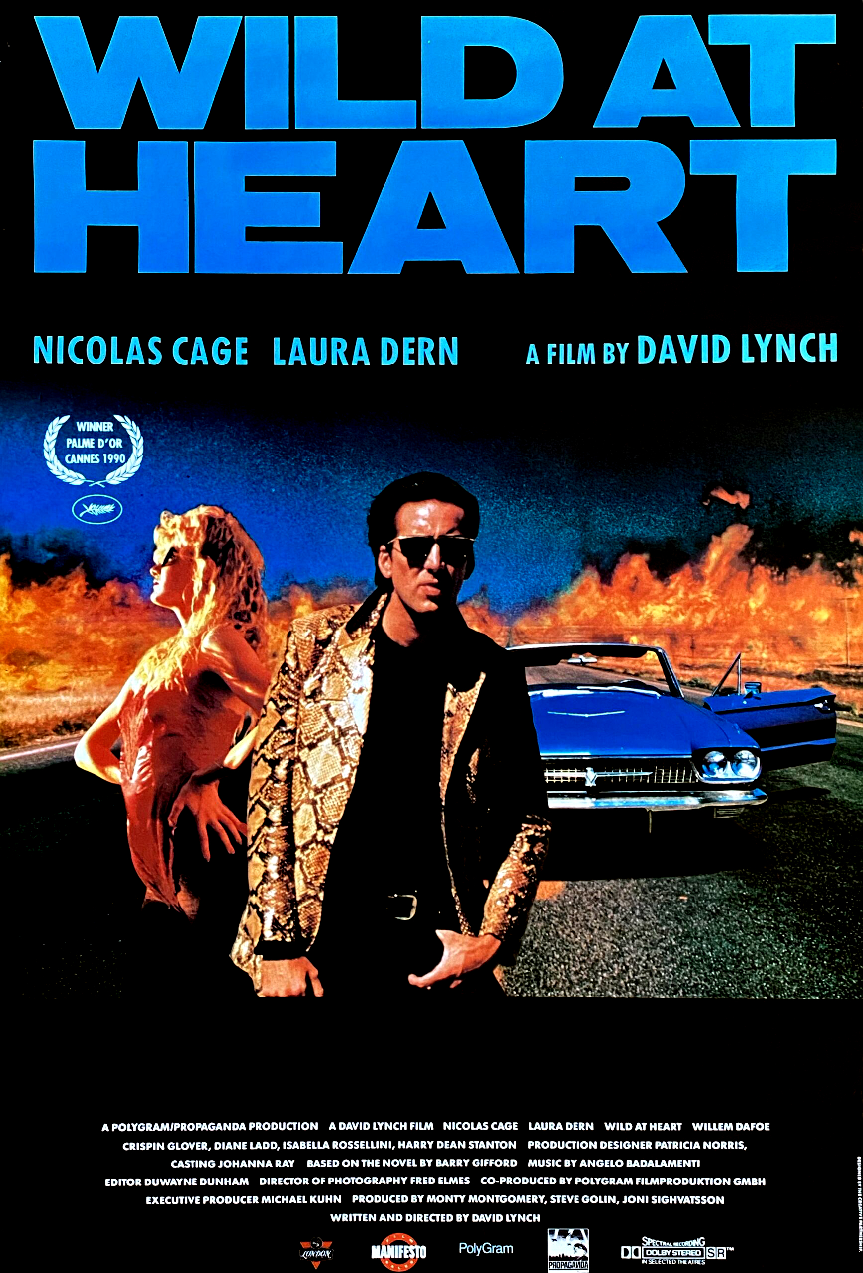 Wild at Heart (film) - Wikipedia