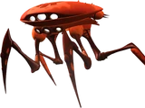 Krab