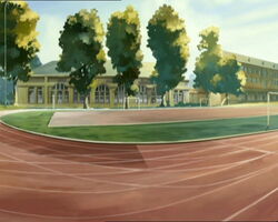 Track.jpg