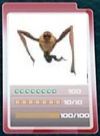 100px-Creeper card.jpg
