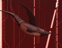 Shark.jpg