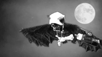 Fred_Schneider_&_the_Superions_-_Batbaby_(Official_Music_Video)