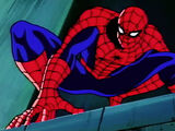 Spider-Man (1994-1998)