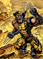 Wolverine 8