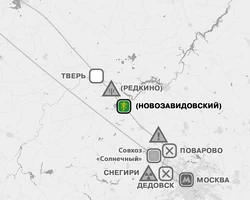 Эльфы