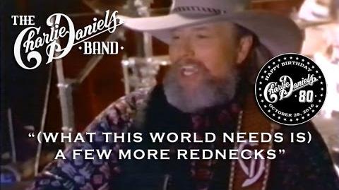 (What This World Needs Is) A Few More Rednecks