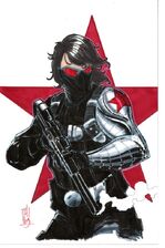 3685493-winter+soldier+th