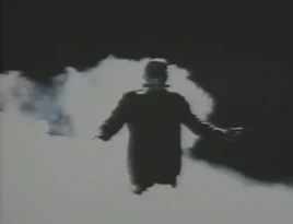 Frankensteins Brud (Merit Hemmingson)