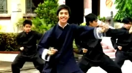 Kungfufightingsconcep