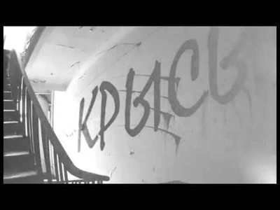 Машина времени крысы