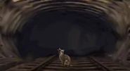 Дикая кошка. Фан-арт.
