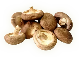 Shiitake