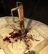 Прибитый к столу паучок