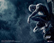 Black-spider-man-rain-1-.jpg