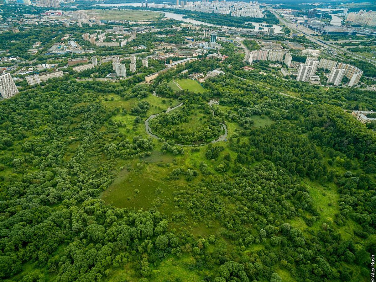 Зеленый московская область фото