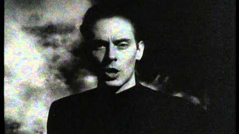 All Night Long (Peter Murphy)