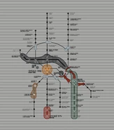 Политическая карта во время войны с Веганом