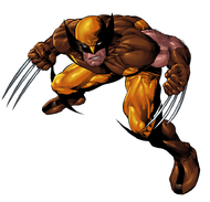 Wolverine 9