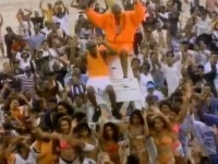 Summer Bunnies | Music Video Wiki | Fandom