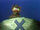 X Marks the Spot
