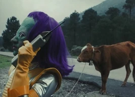 Showpony