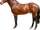 Лошадь (существо)