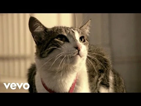 Cancion de Adios | Music Video Wiki | Fandom