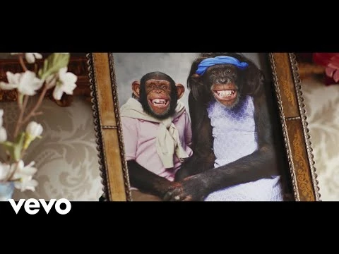 We Never Have Sex Anymore | Music Video Wiki | Fandom