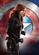 Black Widow Textless Poster CACW