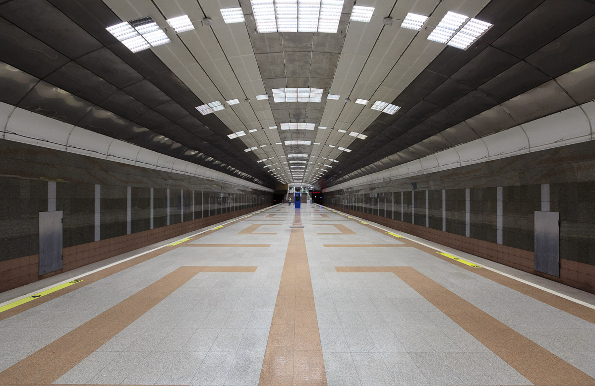 Новосибирск линии. Новосибирский метрополитен Березовая роща. Станция метро Березовая роща Новосибирск. Новосибирский метрополитен станция Березовая роща. Берёзовая роща (станция метро).